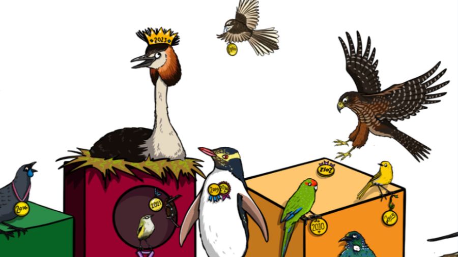 Bird of the Year | Te Manu Rongonui o te Tau 