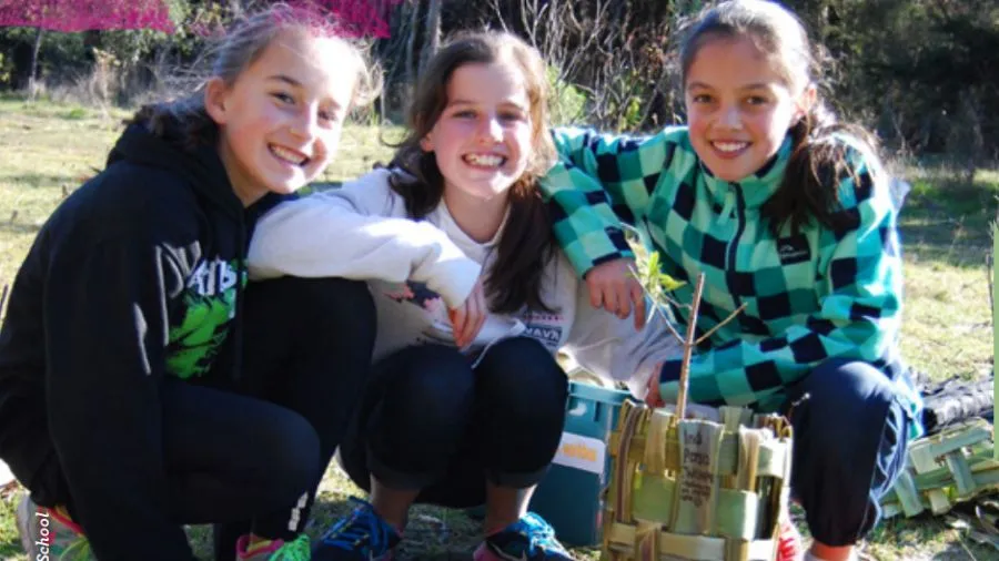 Tools for Environmental Action