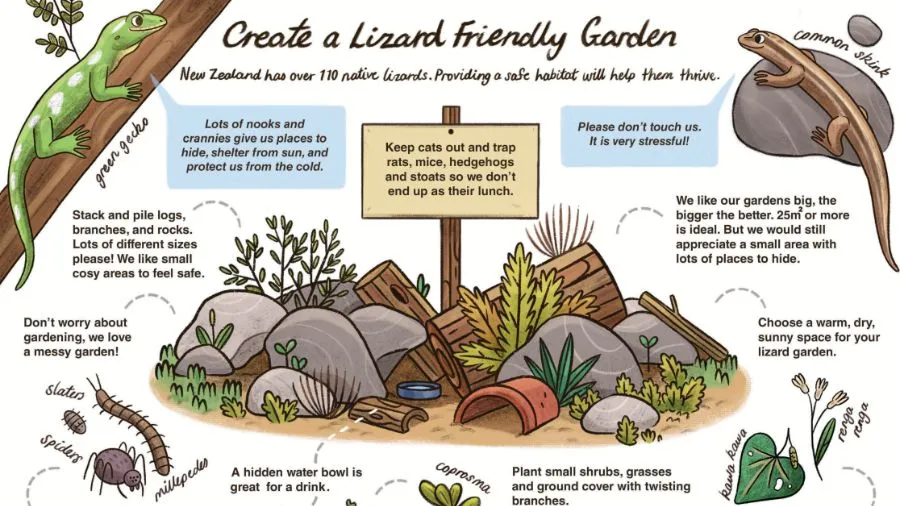 Create a Lizard Garden