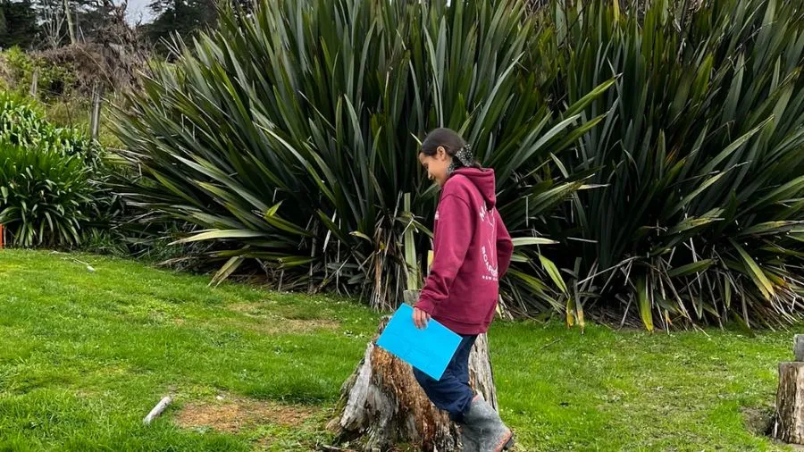 Harakeke Pupuri Whenua