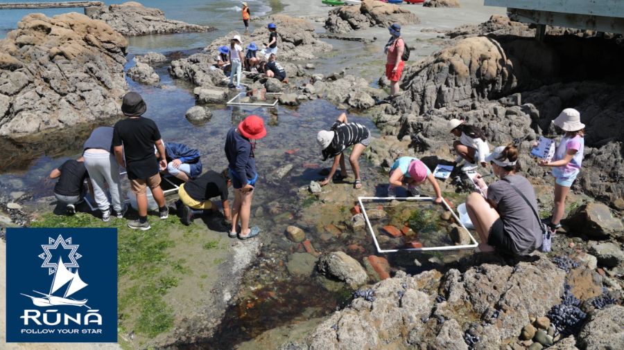 SLH Webinar: Moanamana - taking action to protect our oceans