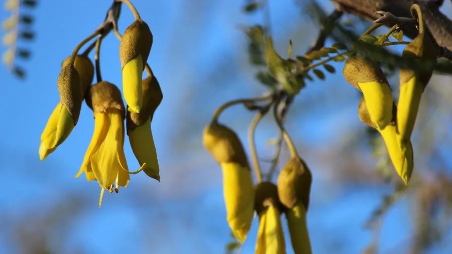 Term Four 2025: New Resources, Stories & PLD