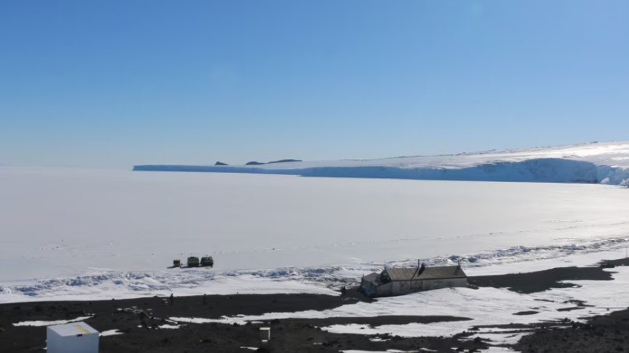 Voice of the Sea Ice