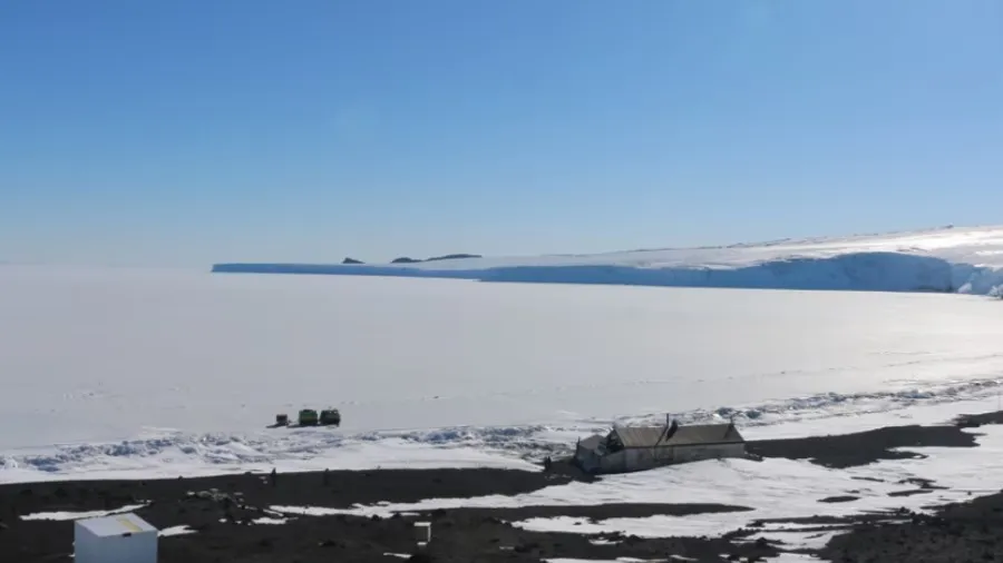 Voice of the Sea Ice