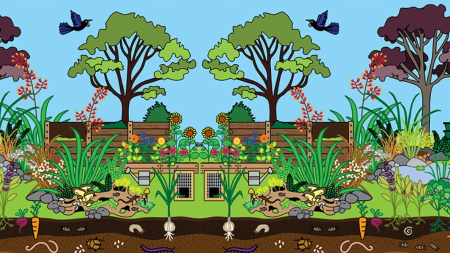 Backyard Biodiversity | Manaakitanga te Taiao