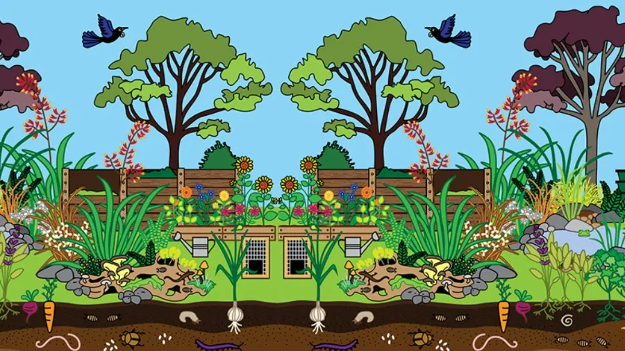 Backyard Biodiversity | Manaakitanga te Taiao