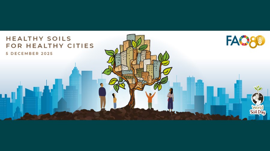 World Soil Day