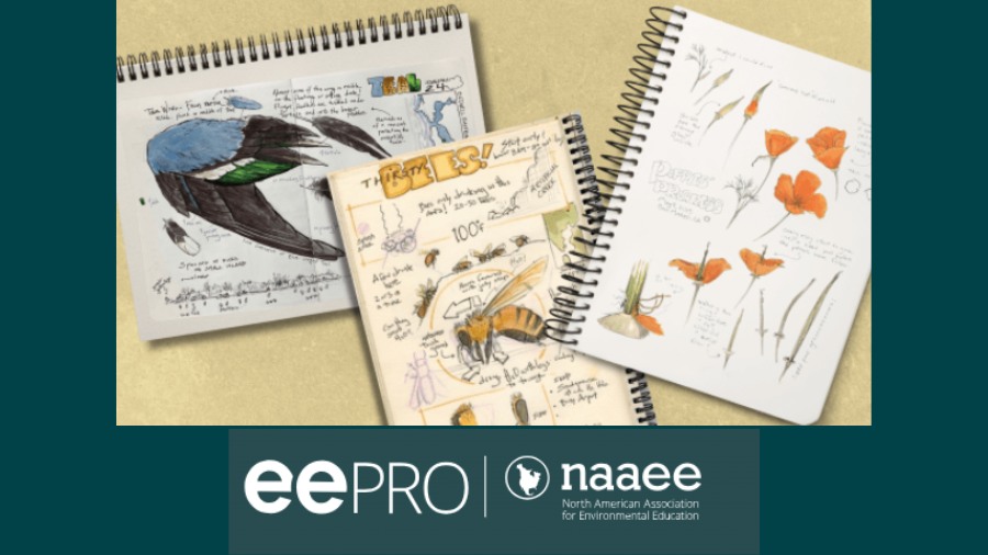 NAAEE Webinar: Nature Journaling with John Muir Laws