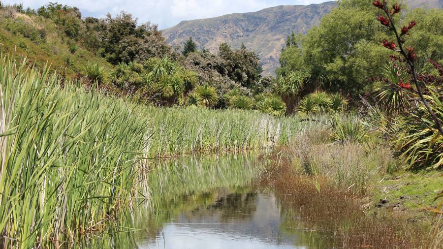 Term One 2026: Seasonal Learning and Events 