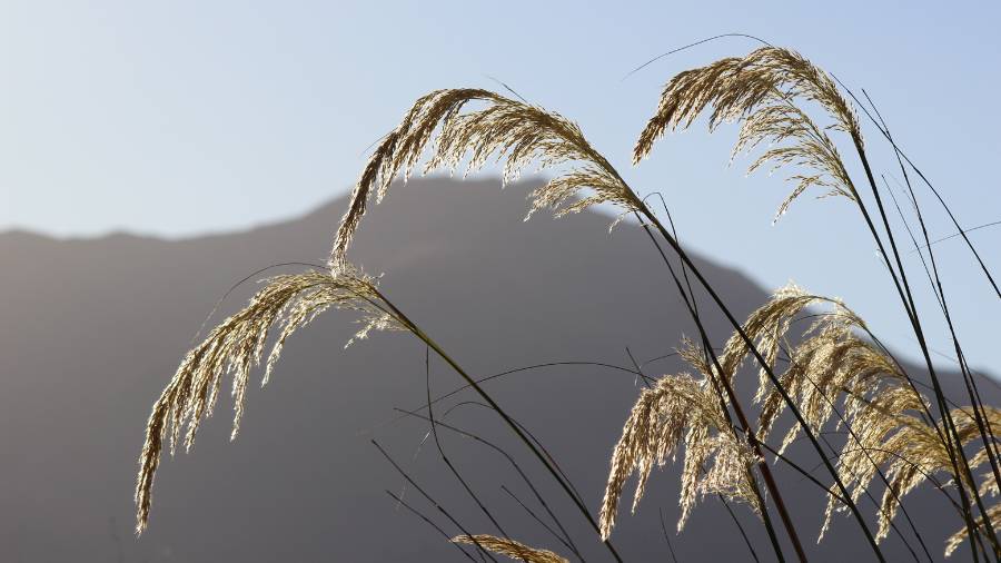 Term One 2026: New Resources, Stories & PLD 