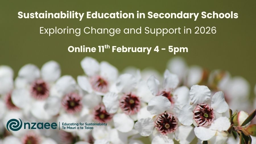 NZAEE Webinar: Sustainability Education in Secondary Schools