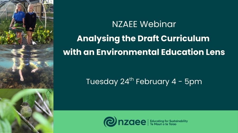 NZAEE Webinar: Analysing the Draft Curriculum