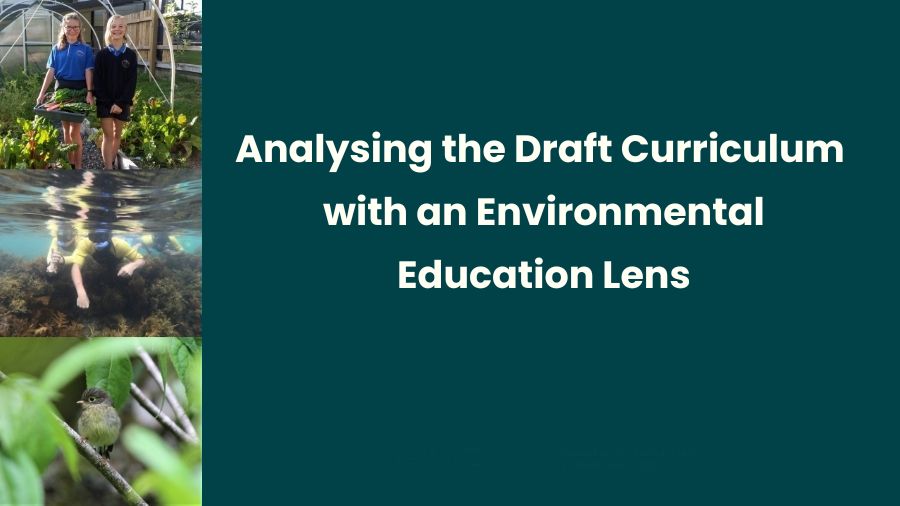 Analysing the Draft Curriculum with an Environmental Education Lens