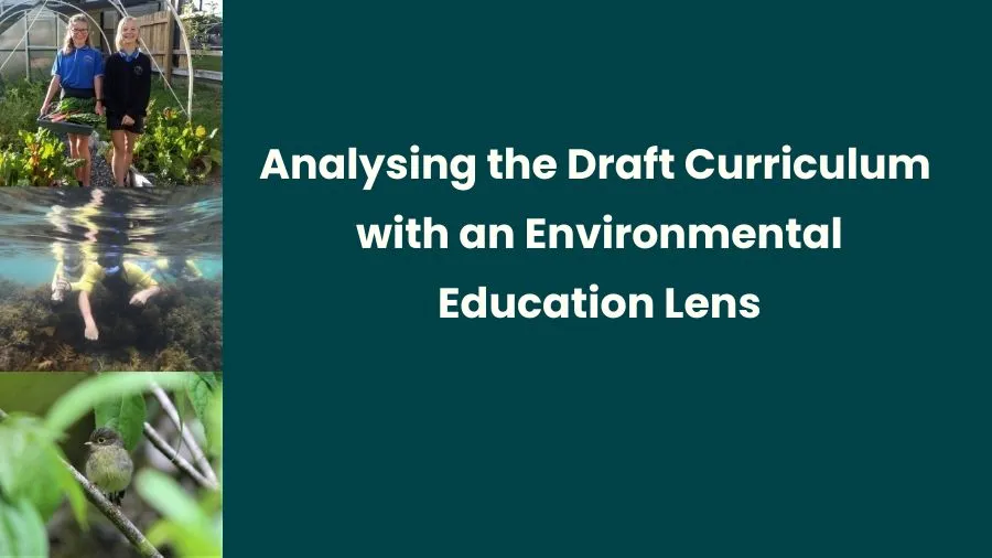Analysing the Draft Curriculum with an Environmental Education Lens