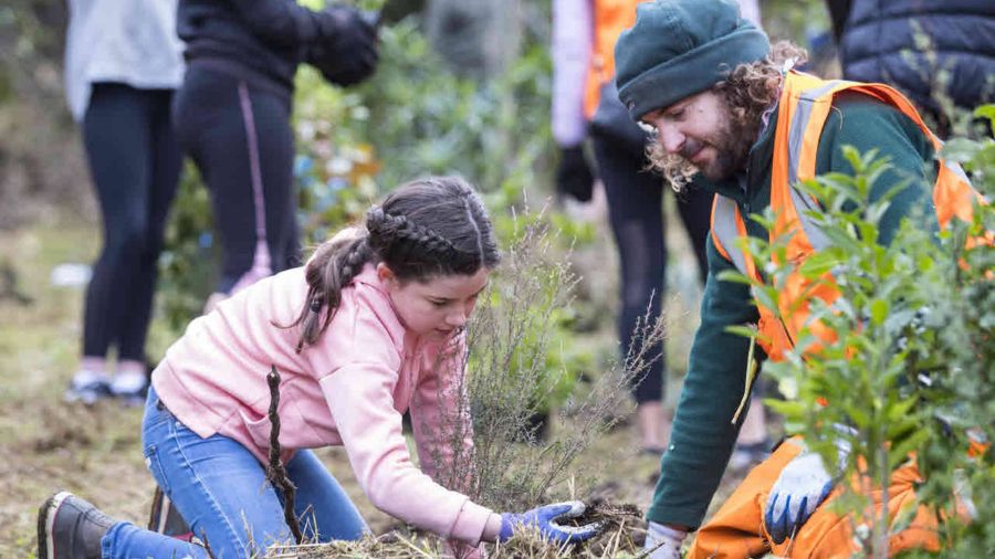 NZAEE Evaluation Report 2025