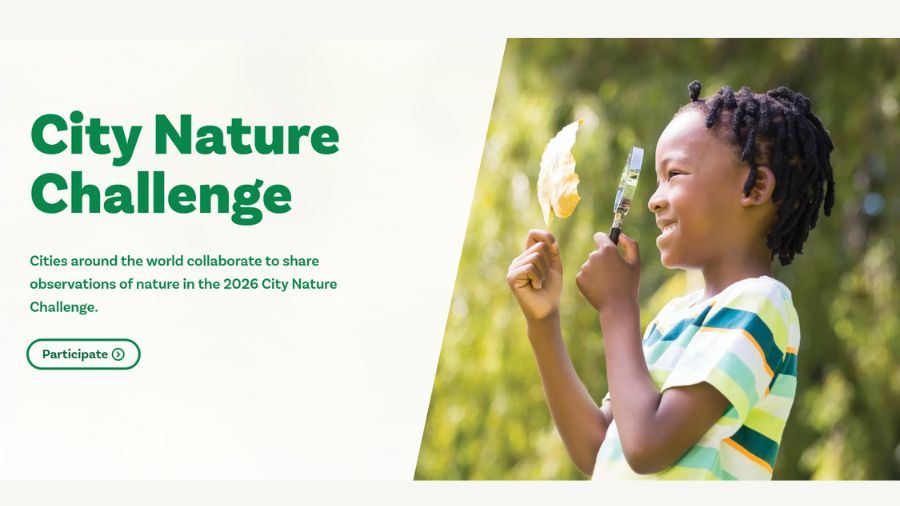 City Nature Challenge