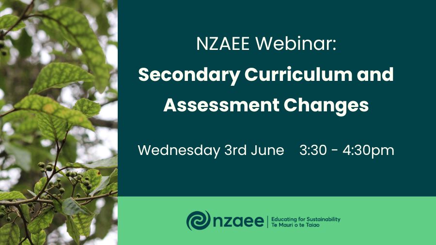 NZAEE Webinar: Secondary Curriculum and Assessment