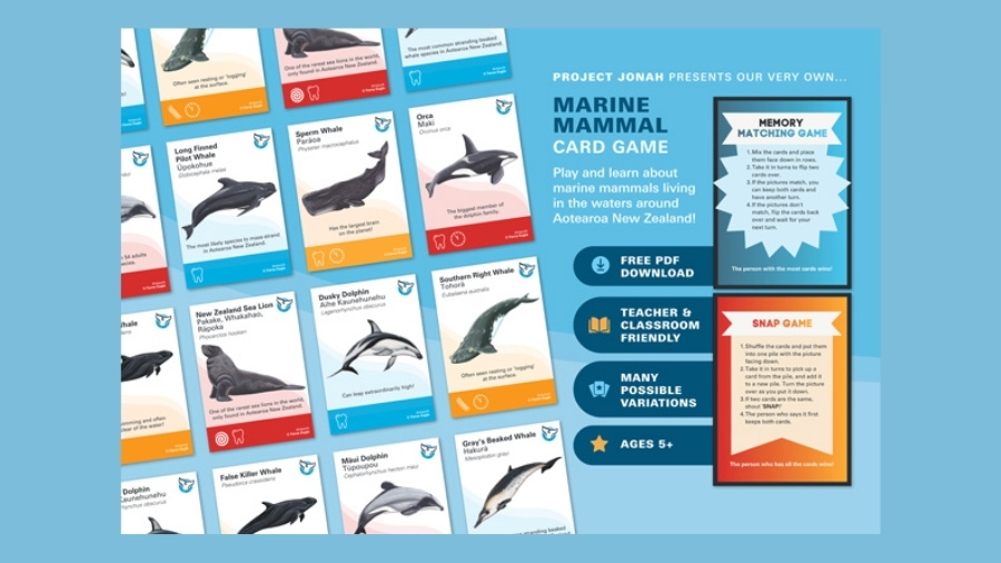 Marine Mammal Card Game