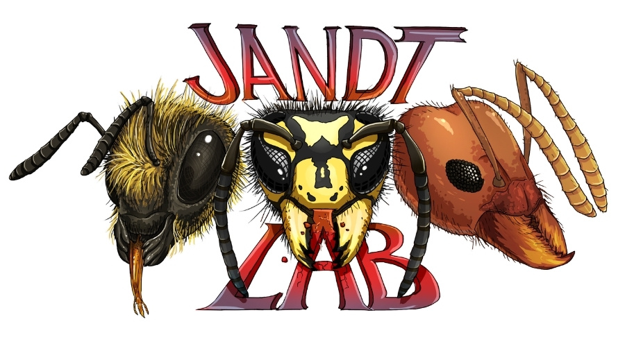 Jandt Lab Insect Resources