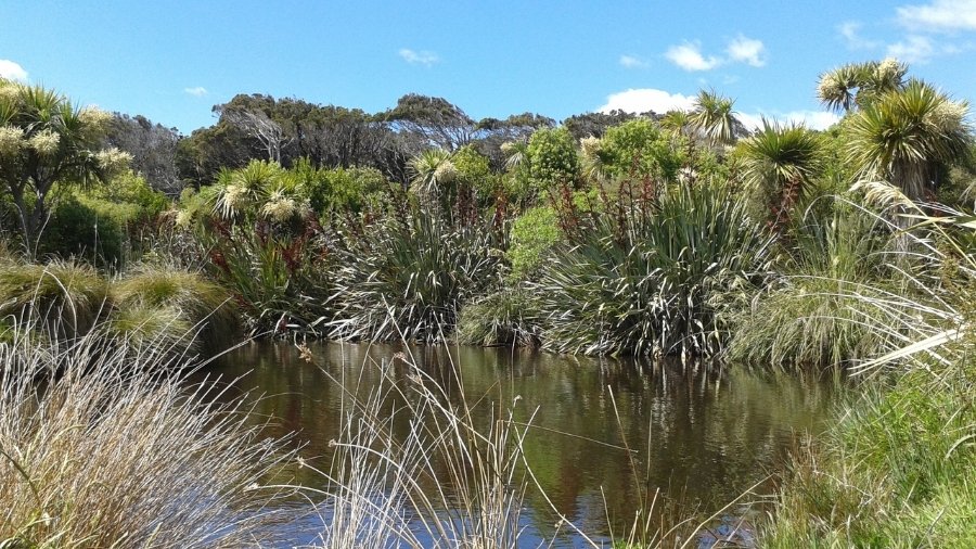 Murihiku Southland