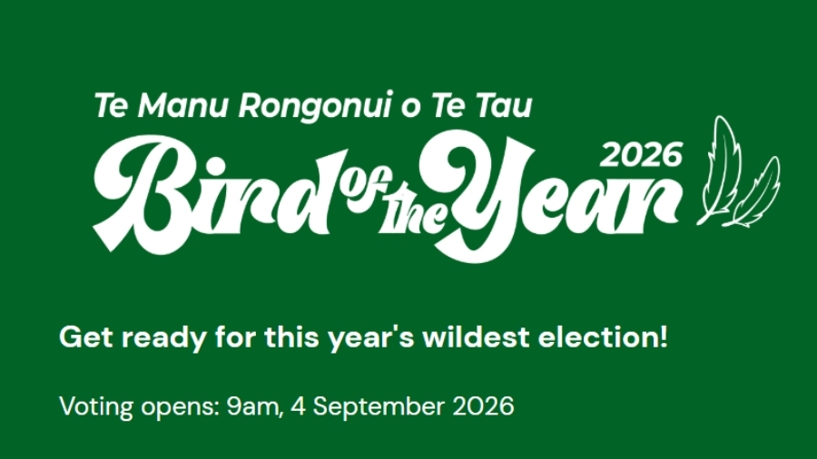 Bird of the Year | Te Manu Rongonui o te Tau