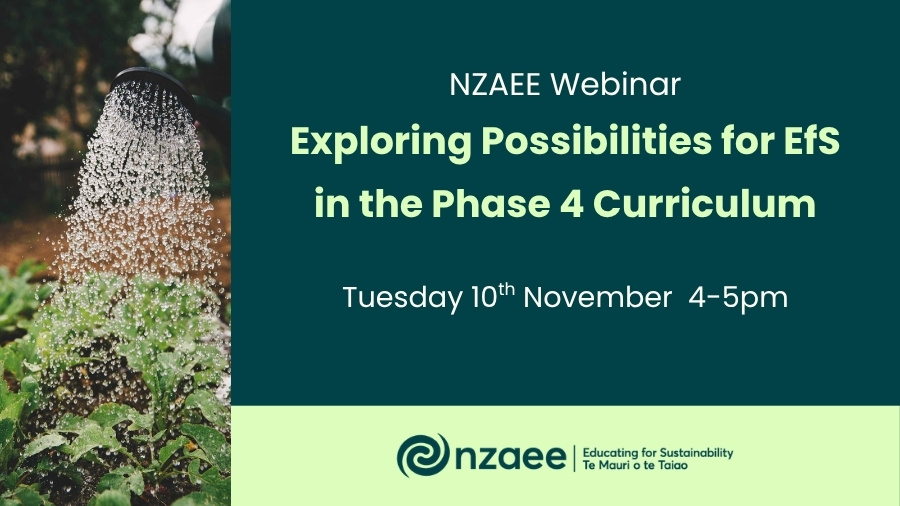NZAEE Webinar: Exploring Possibilities for EfS in the Phase 4 Curriculum