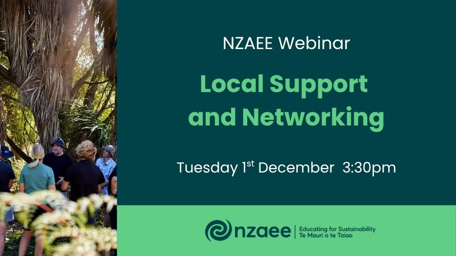 NZAEE Webinar: Local Groups and Networking