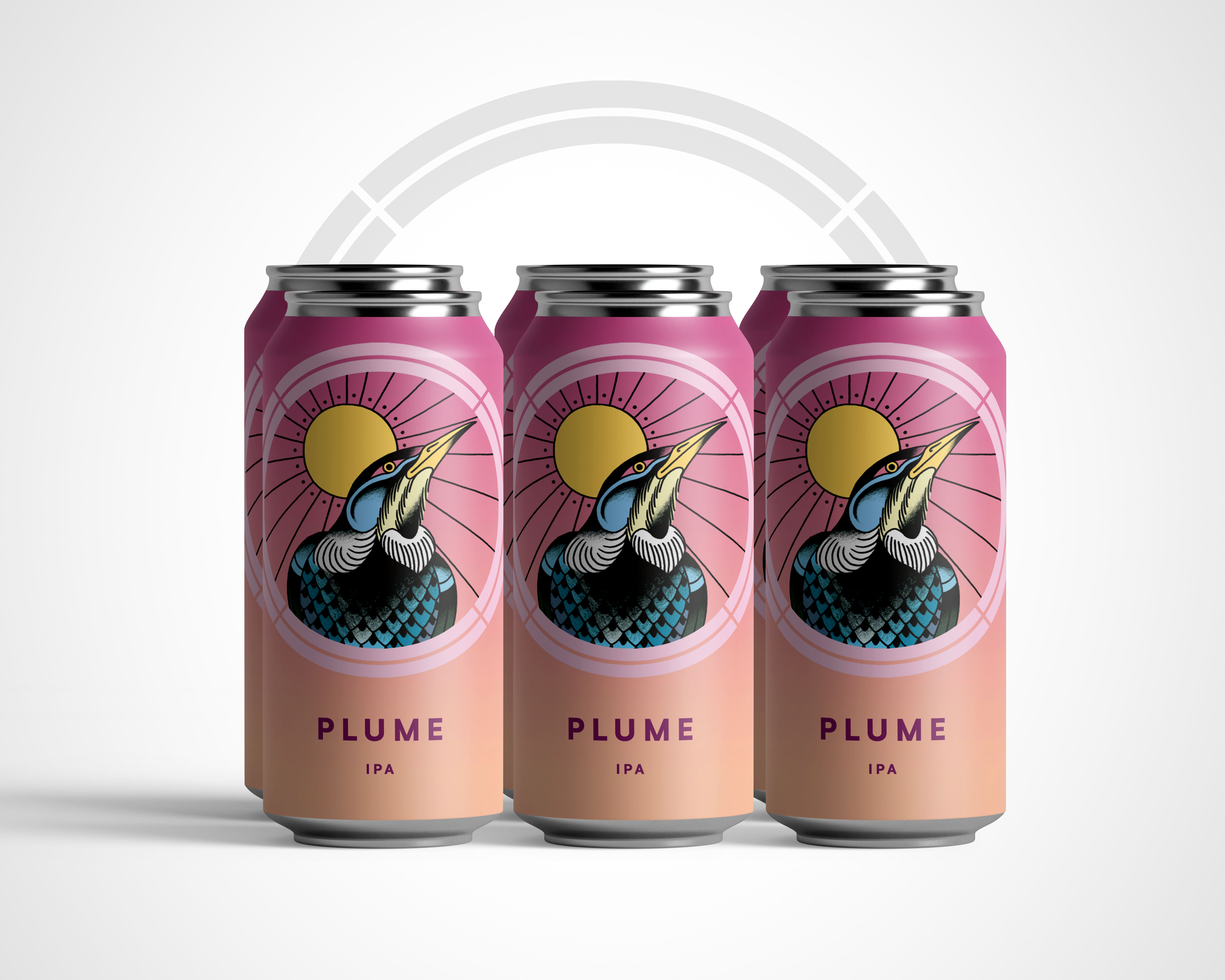 NEW !  PLUME - IPA 5.4%  -  6 PACK