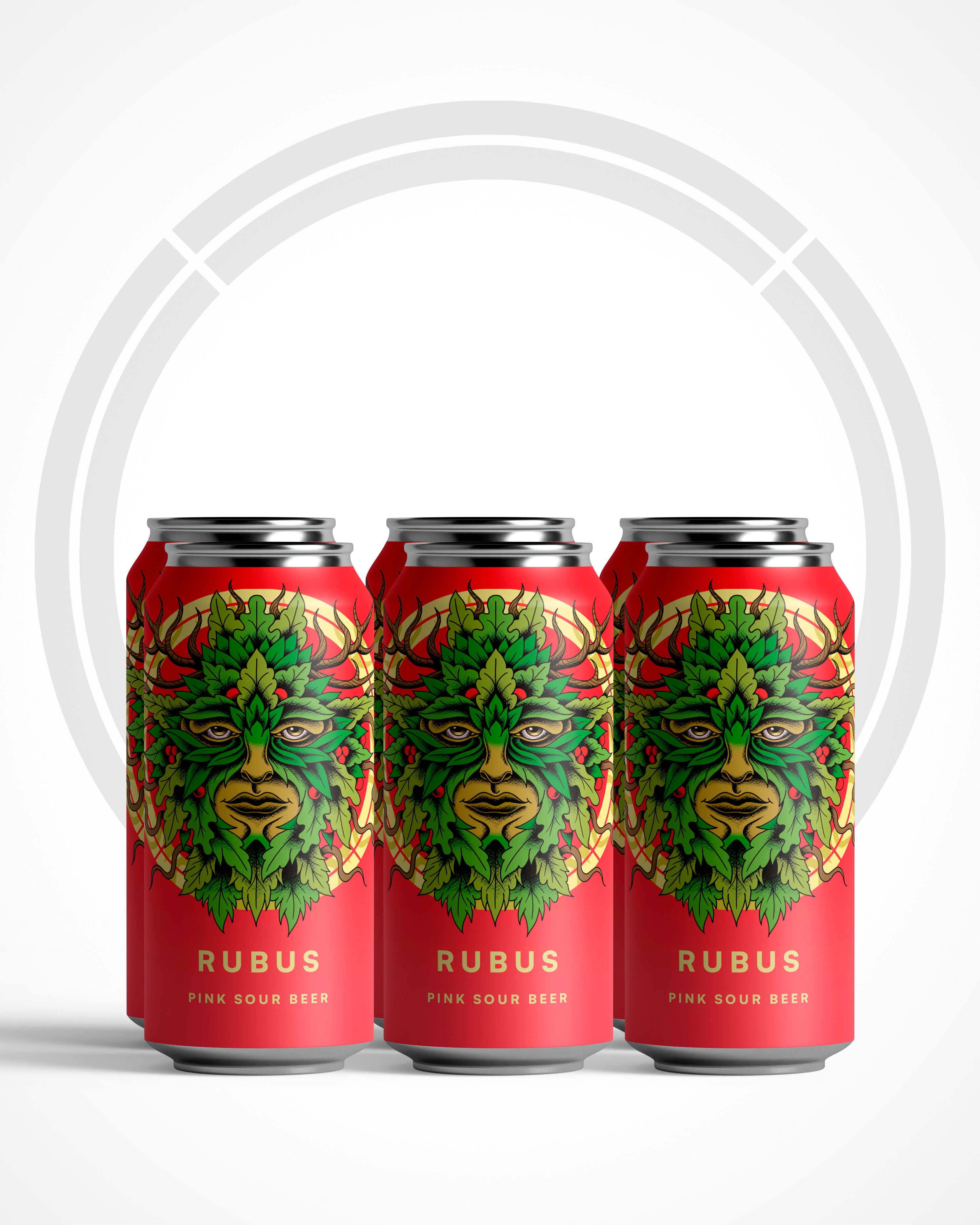 NEW! RUBUS - Pink Sour 4.4% - 6 Pack 