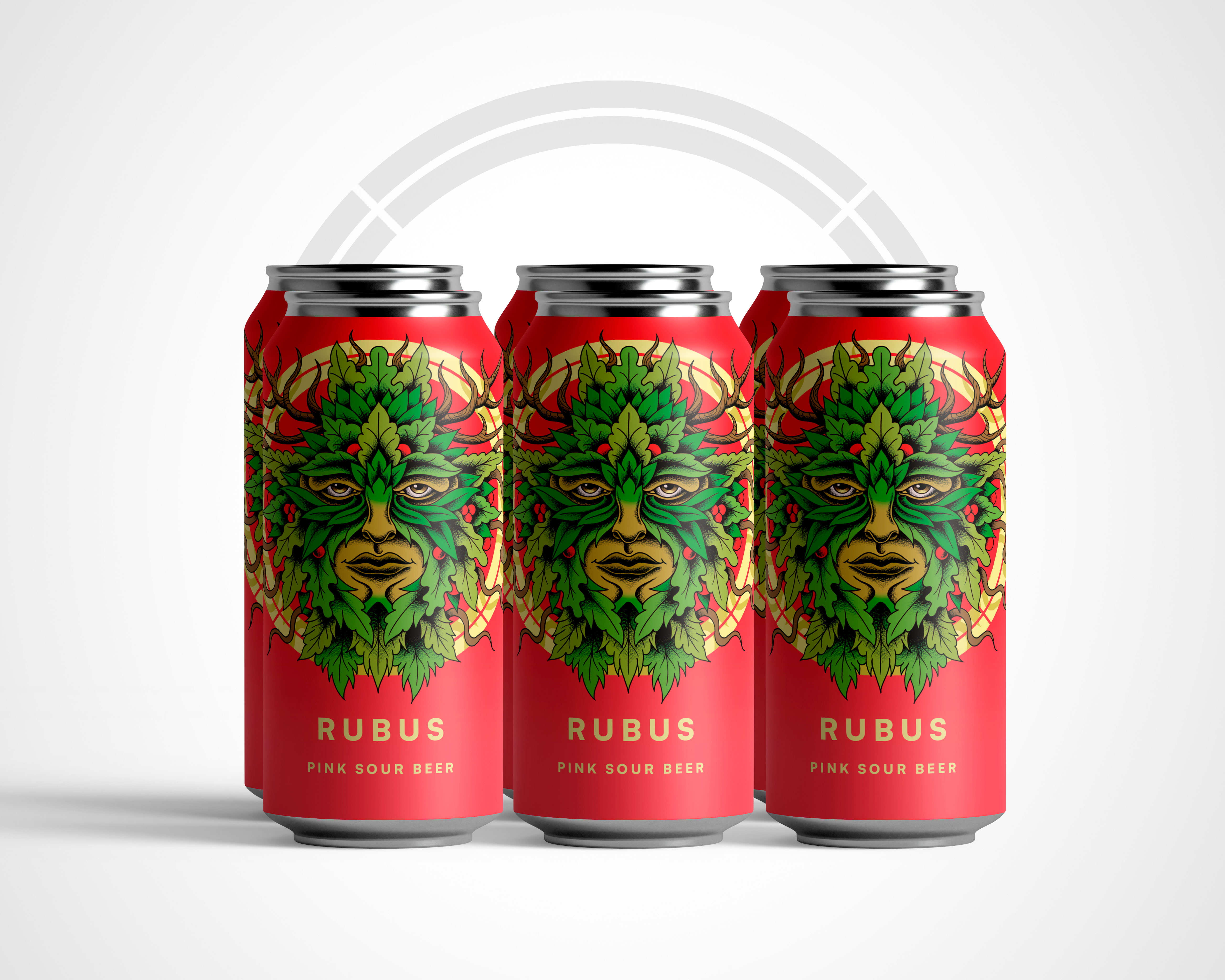 NEW! RUBUS - Pink Sour 4.4% - 6 Pack 