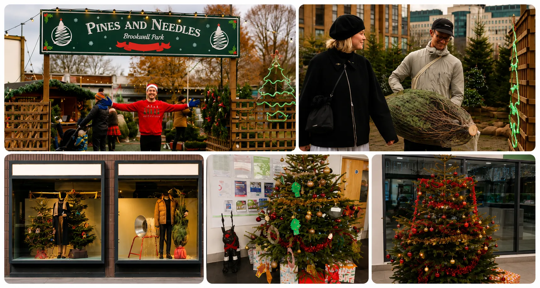 Christmas tree delivered and dressed in an office