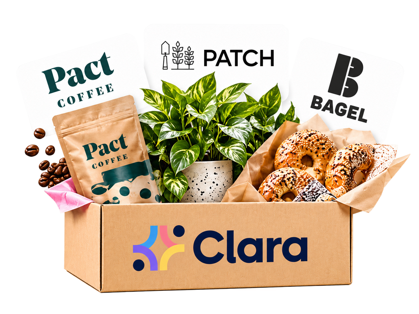 A Clara box filled with coffee, a plant and bagels from suppliers clients brought to Clara