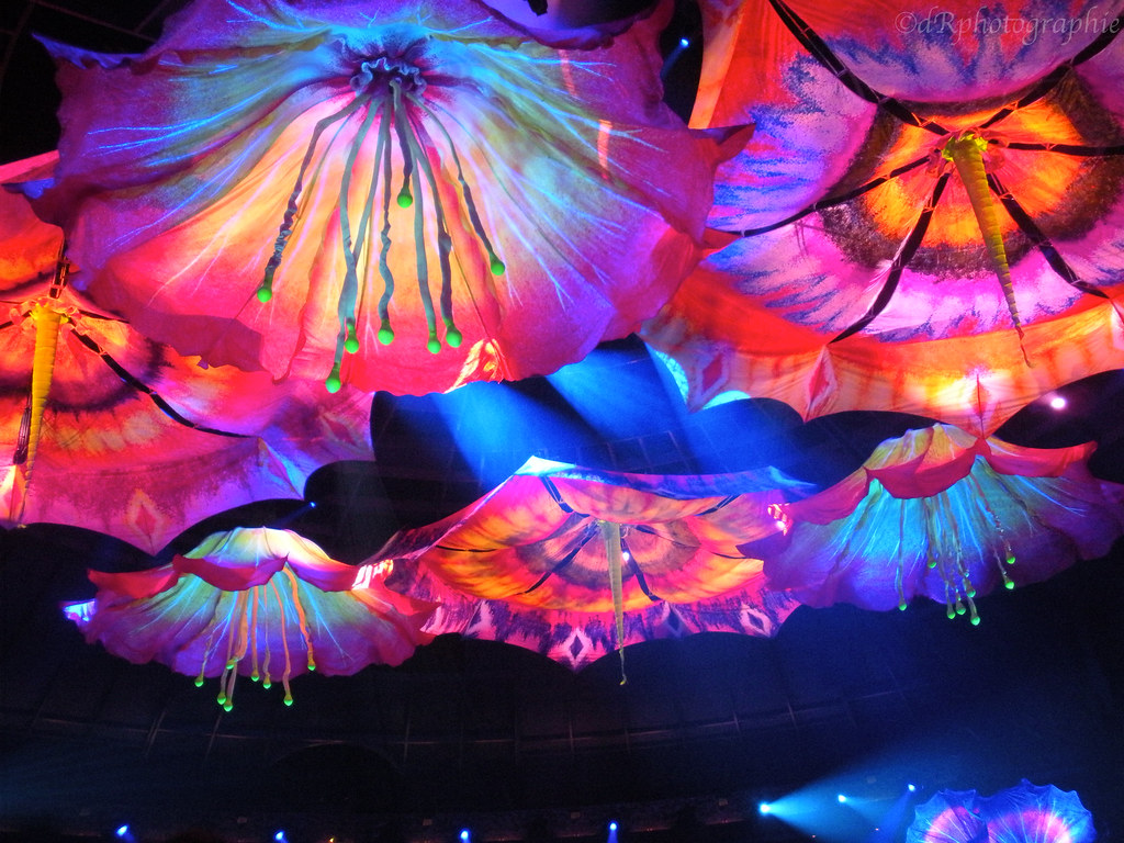 Le Rêve, Cirque du Soleil