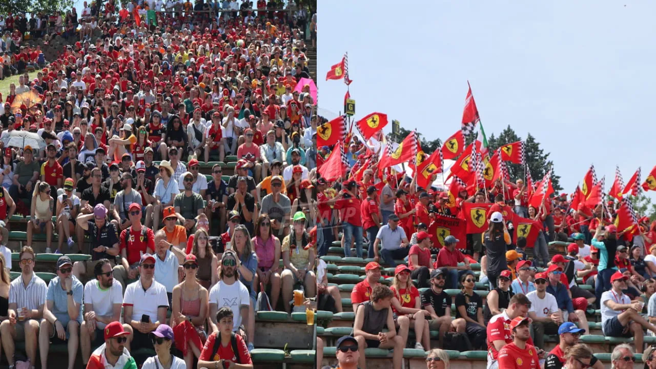 Fans at Imola