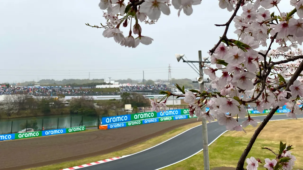 The iconic cherry blossoms at the Suzuka International Racing Course for the Japanese Grand Prix