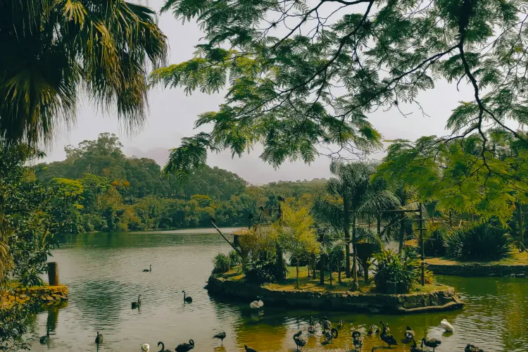 São Paulo Brazil WEC