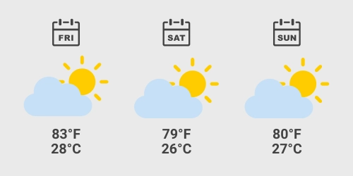 Miami Grand Prix 2026 Weather