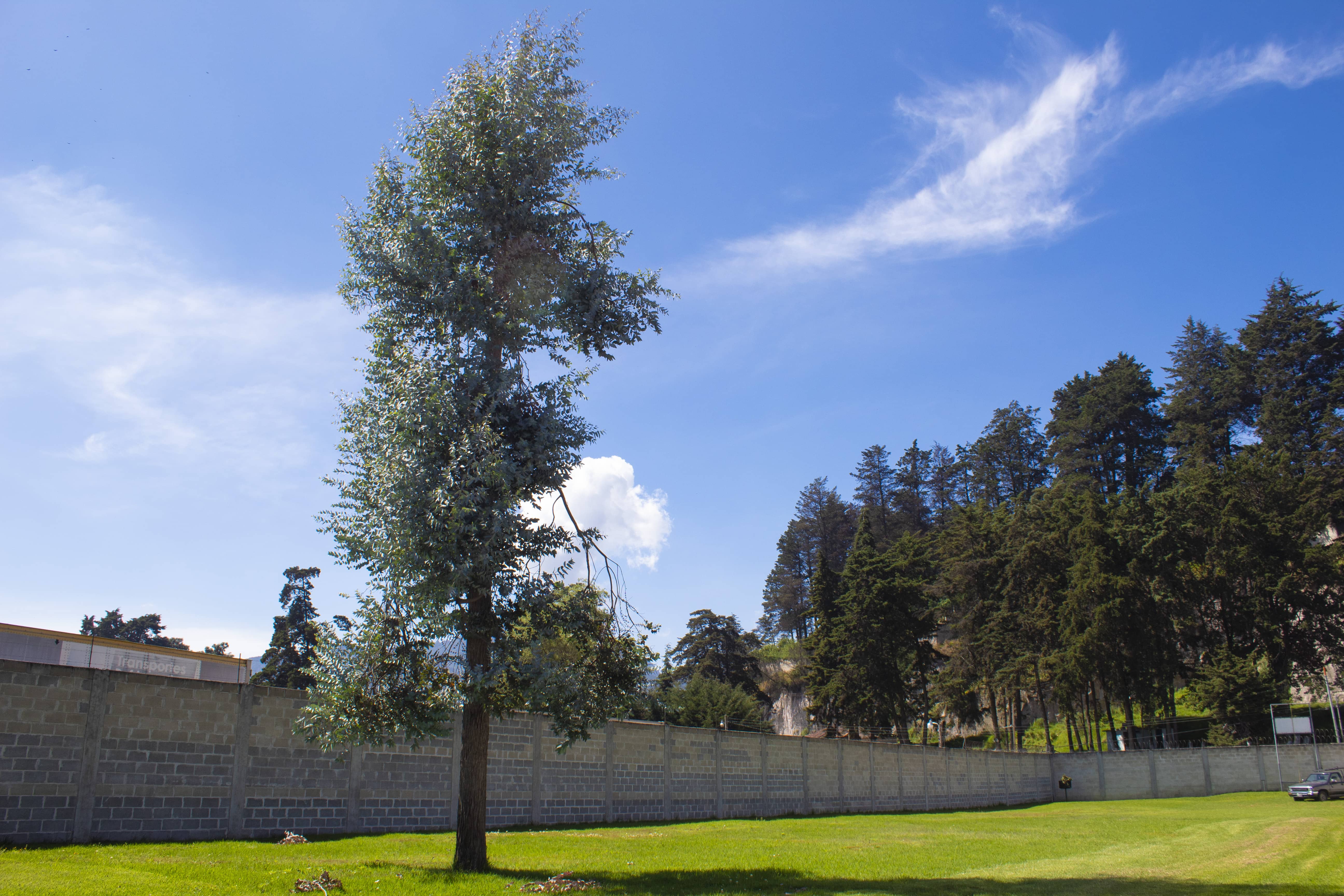 Instalaciones de life school