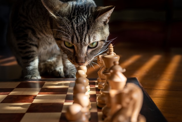 How can you use intent data?