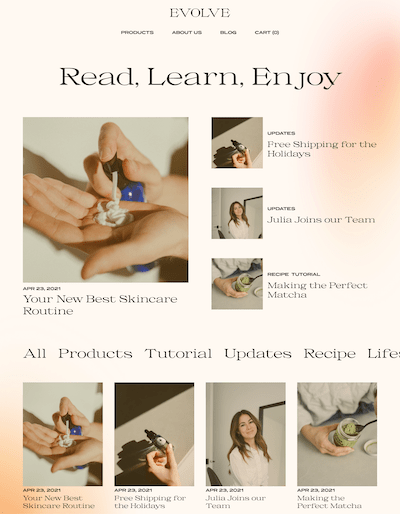 Evolve Template Screenshot