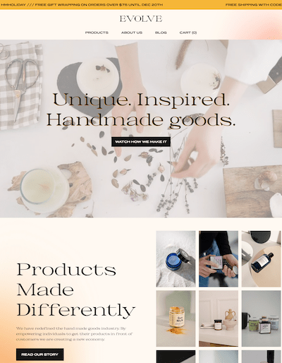 Evolve Template Screenshot