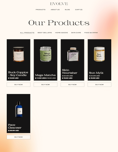 Evolve Template Screenshot