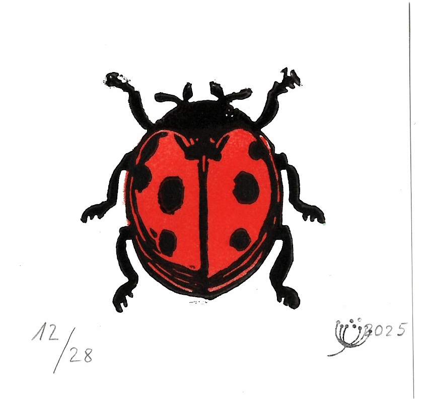 Marienkäfer Rot #02