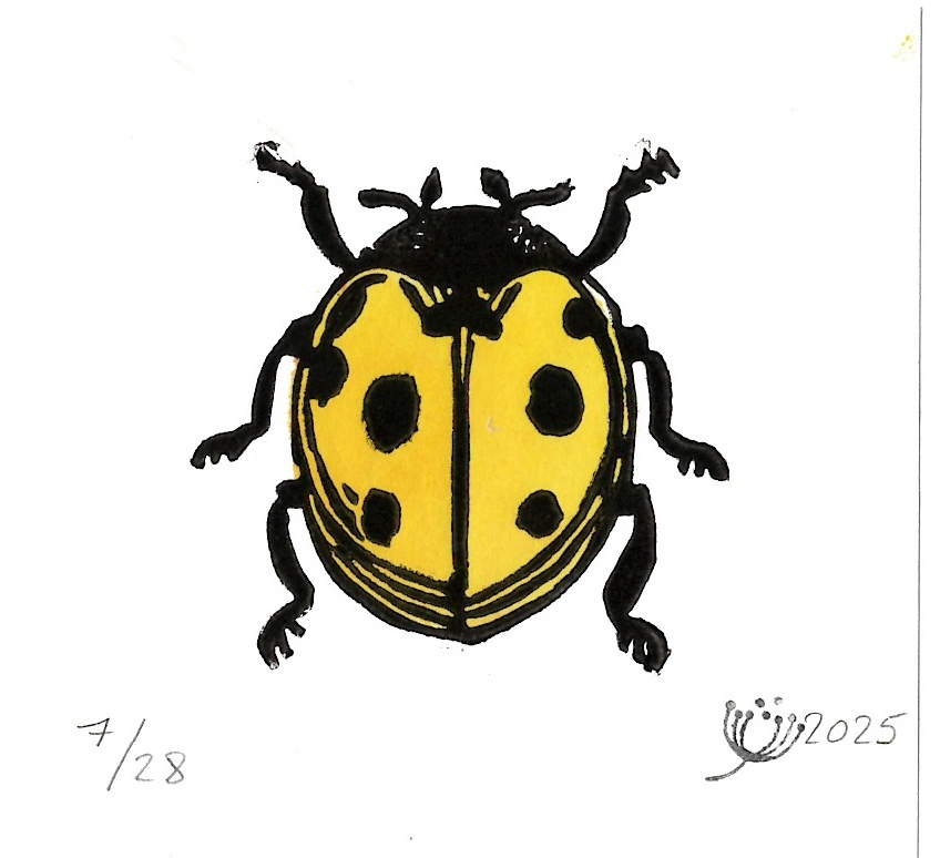 Marienkäfer Gelb #03