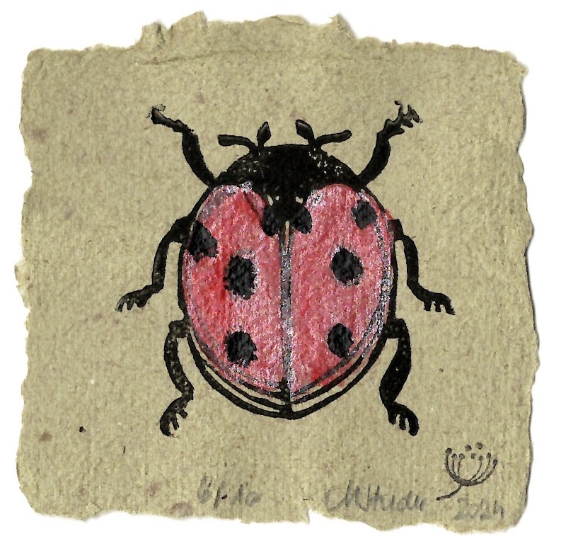 Marienkäfer Rot #04