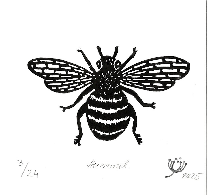 Hummel  #01