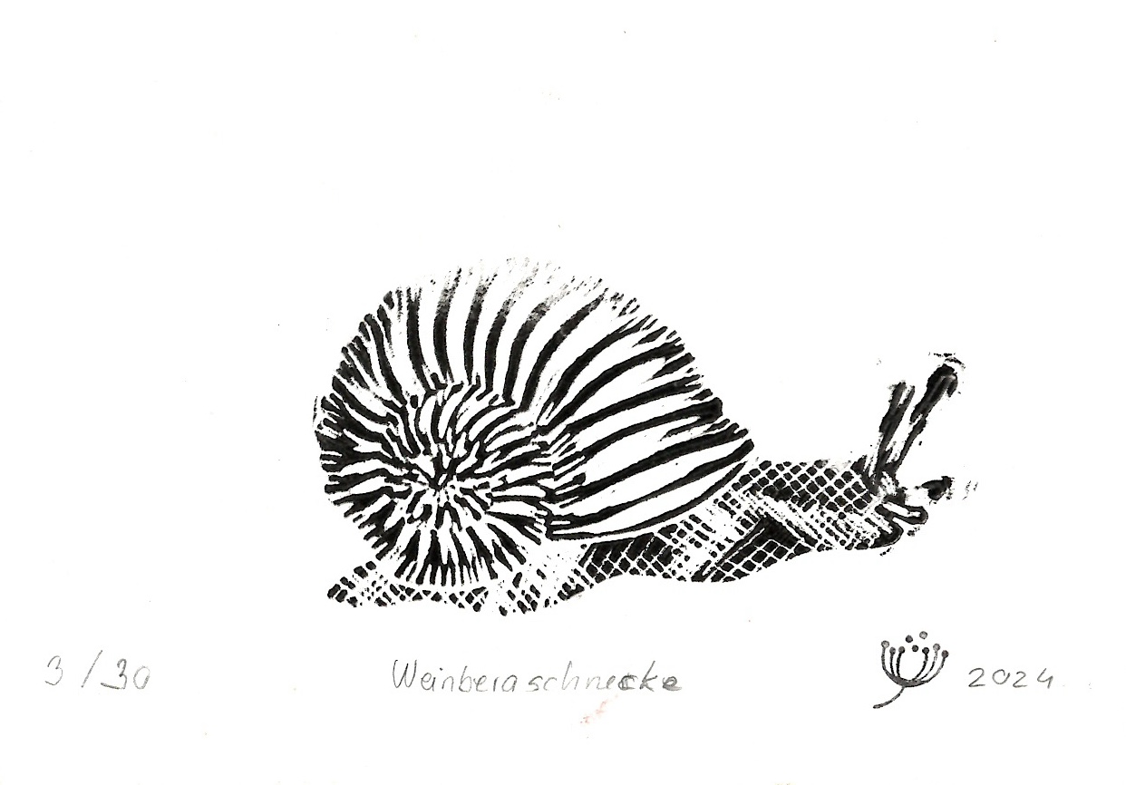 Weinbergschnecke # 01