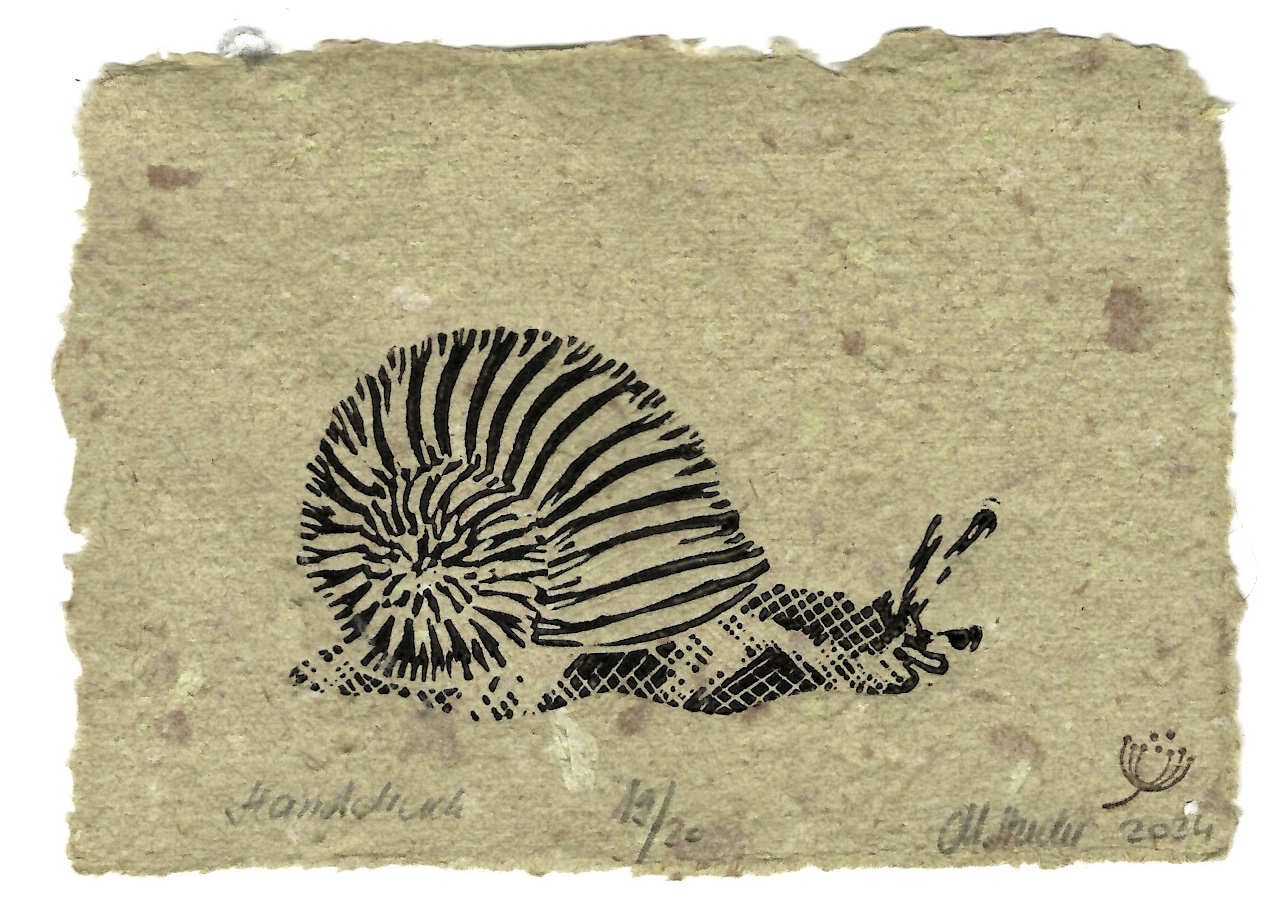 Weinbergschnecke # 03