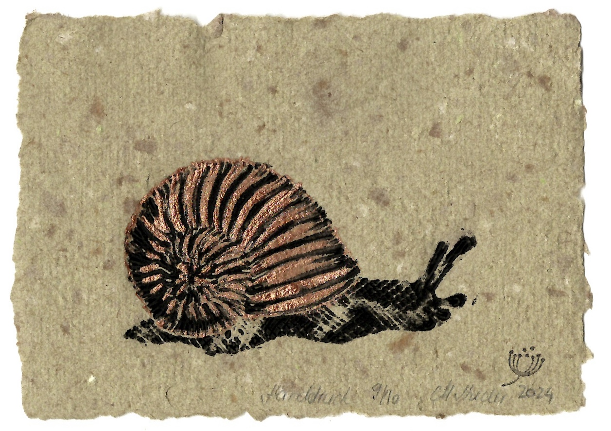 Weinbergschnecke # 04