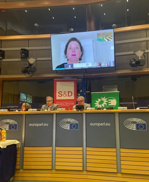 Infoabend der Europa-SPD zu LongCovid & PostVac